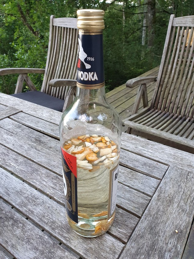 Kantarel bitter